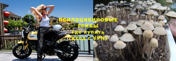 мдпв Абдулино