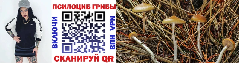 Галлюциногенные грибы мухоморы  mega как зайти  Аксай 